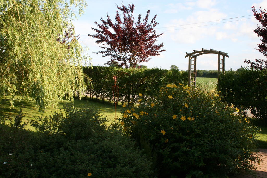 Herbages De Beauvais Orgeres-la-Roche Екстер'єр фото